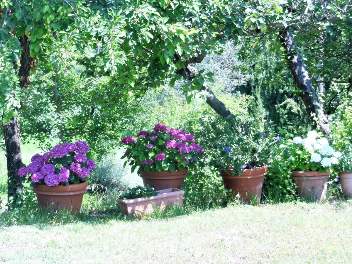 La Fontaiola Villa Le Piazze Ngoại thất bức ảnh