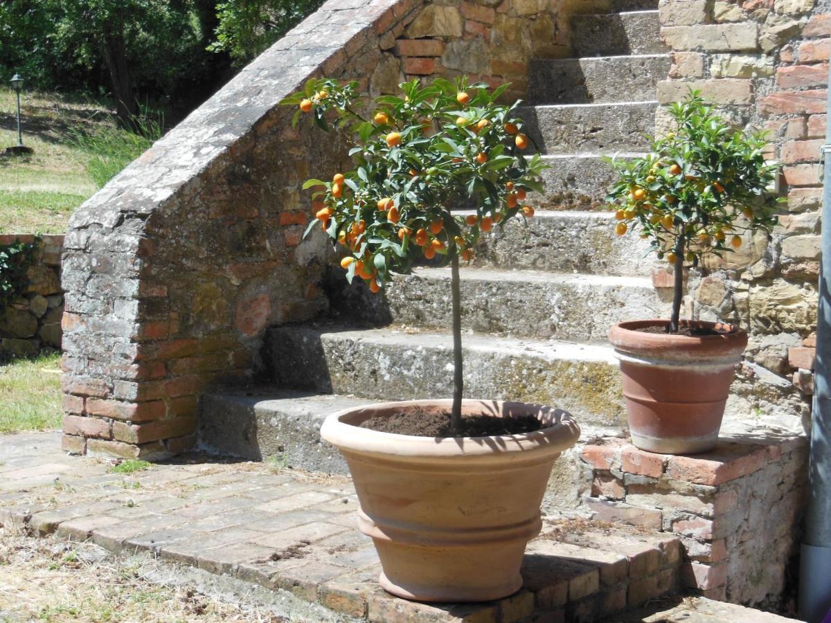 La Fontaiola Villa Le Piazze Ngoại thất bức ảnh